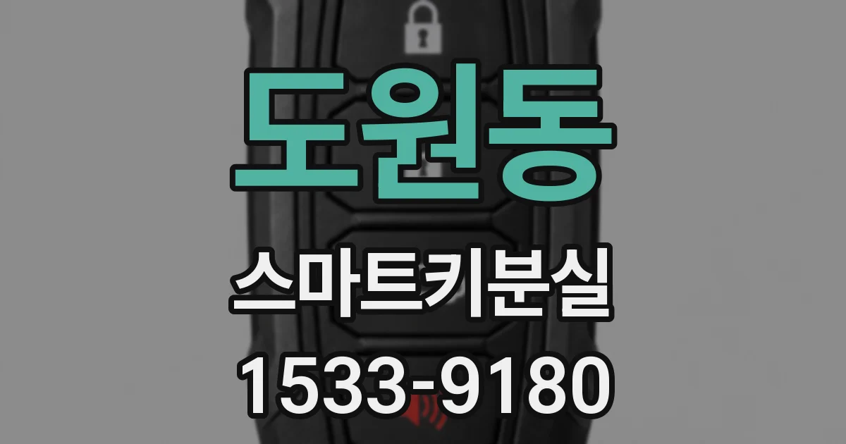 도원동 스마트키분실