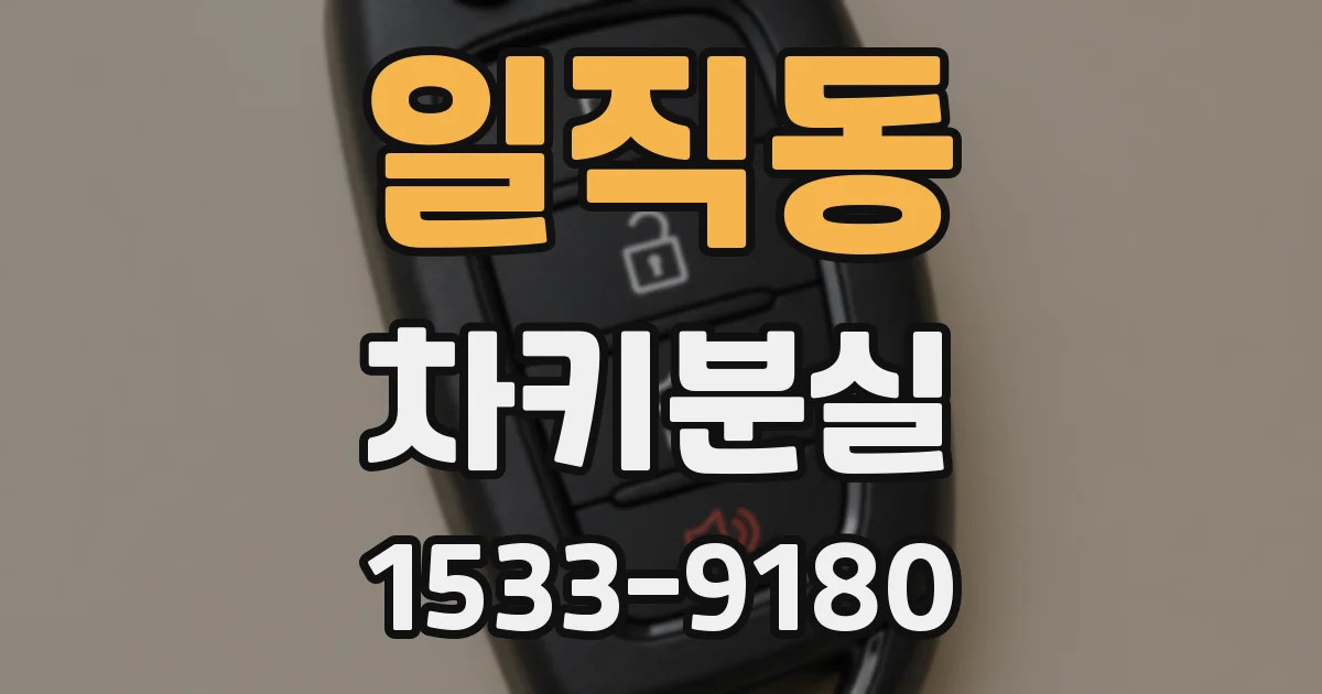 일직동 차키분실