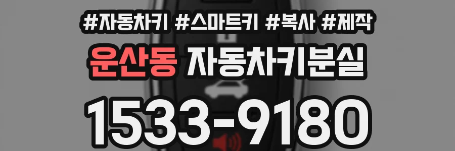 운산동 자동차키분실