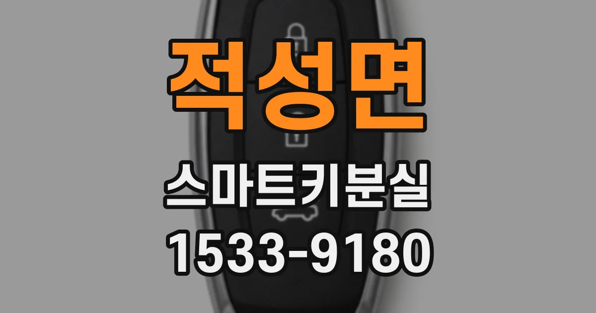 적성면 스마트키분실