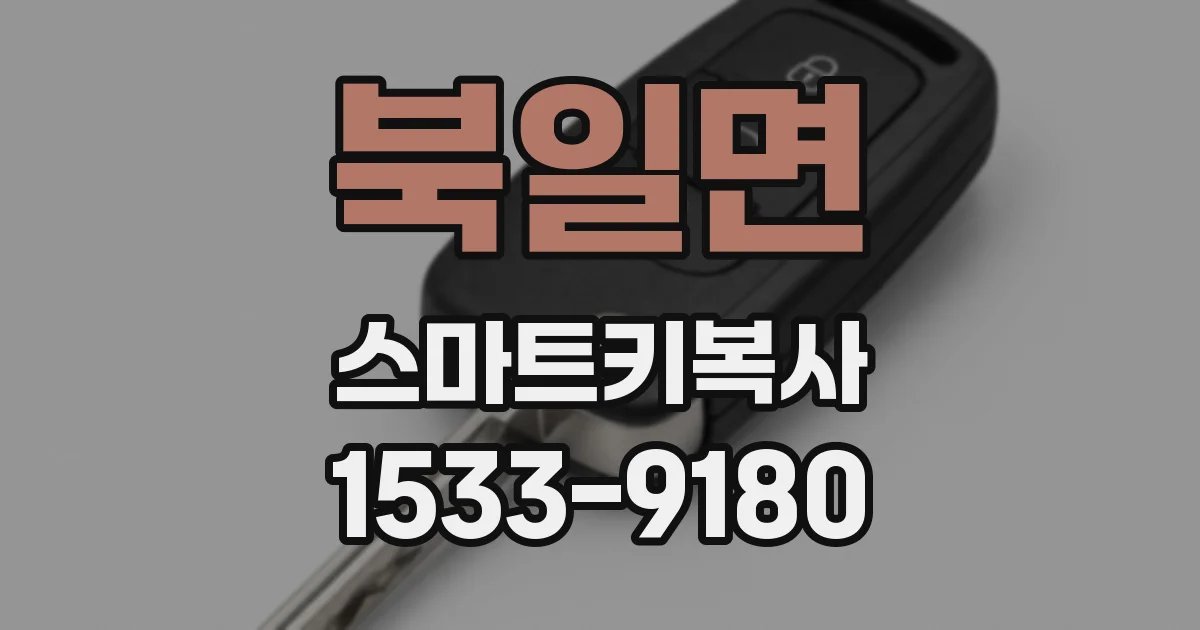 북일면 스마트키복사