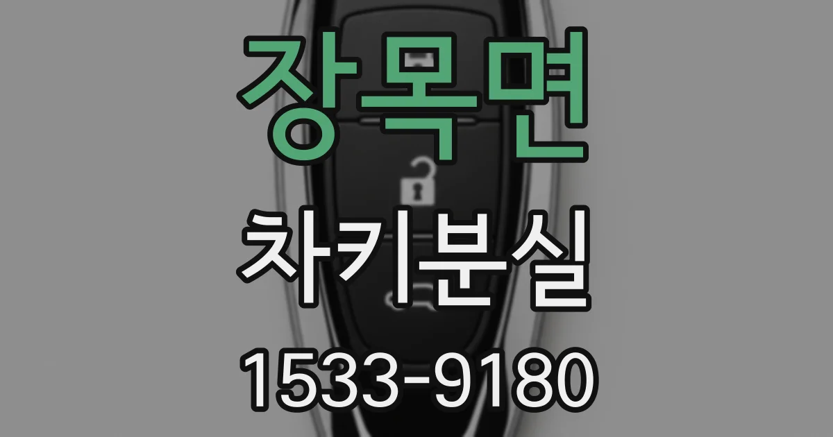 장목면 차키분실