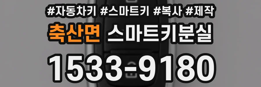 축산면 스마트키분실