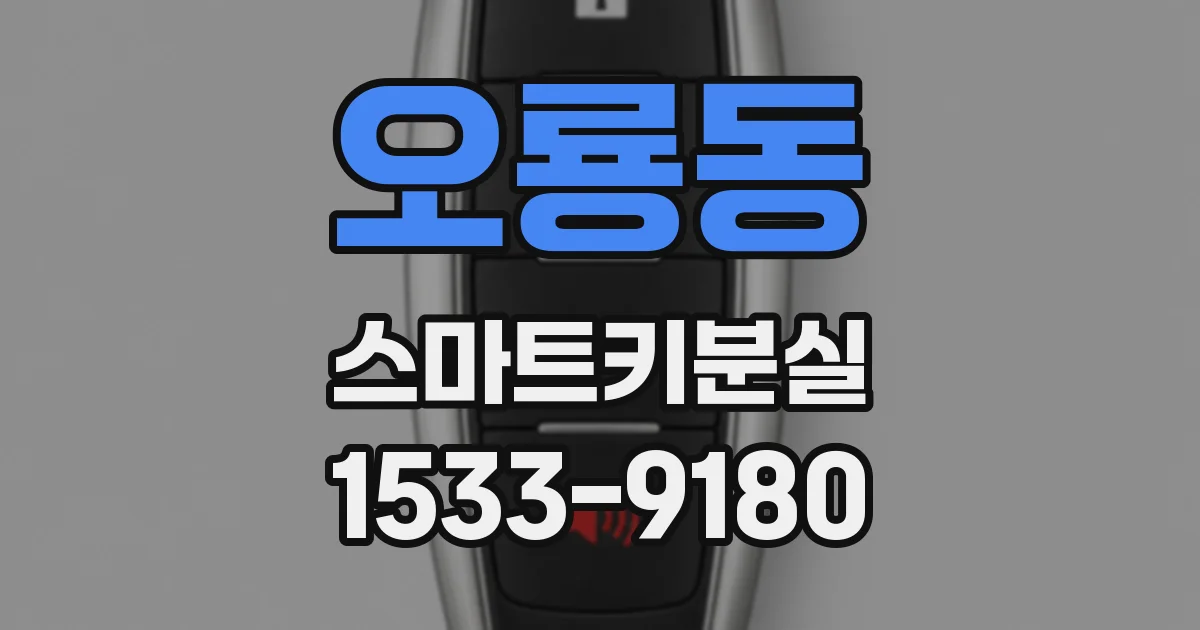 오룡동 스마트키분실