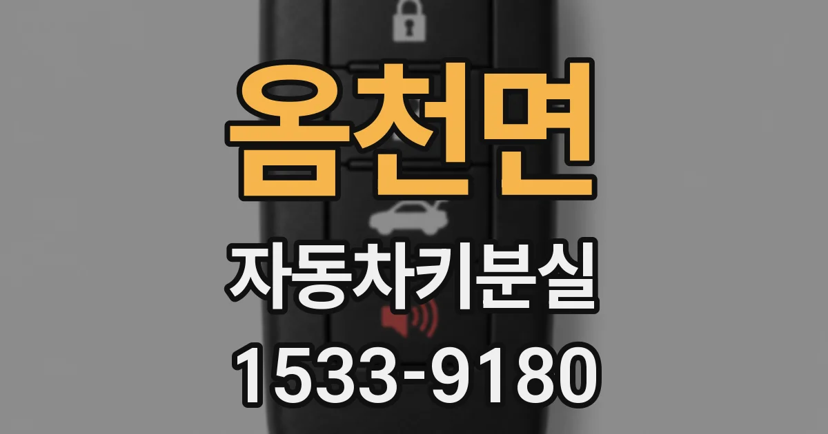 옴천면 자동차키분실