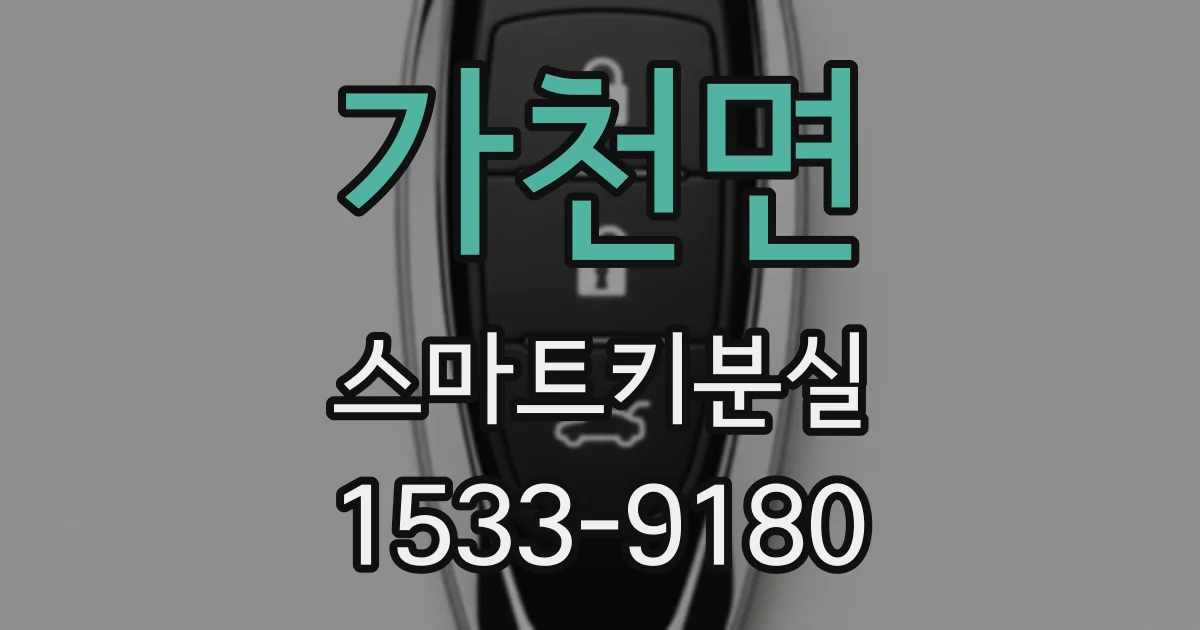 가천면 스마트키분실