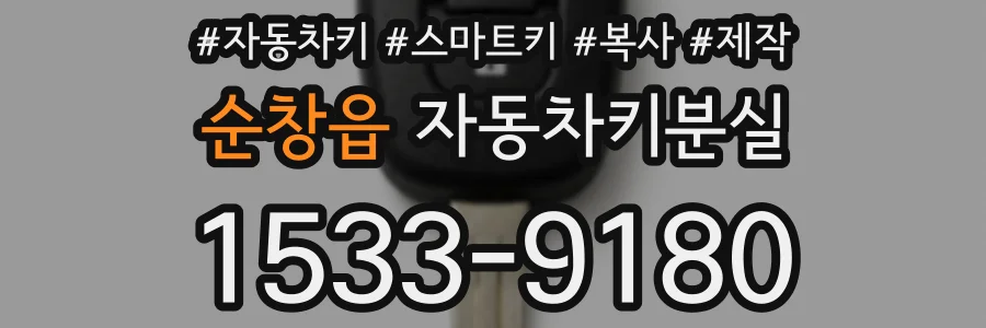 순창읍 자동차키분실