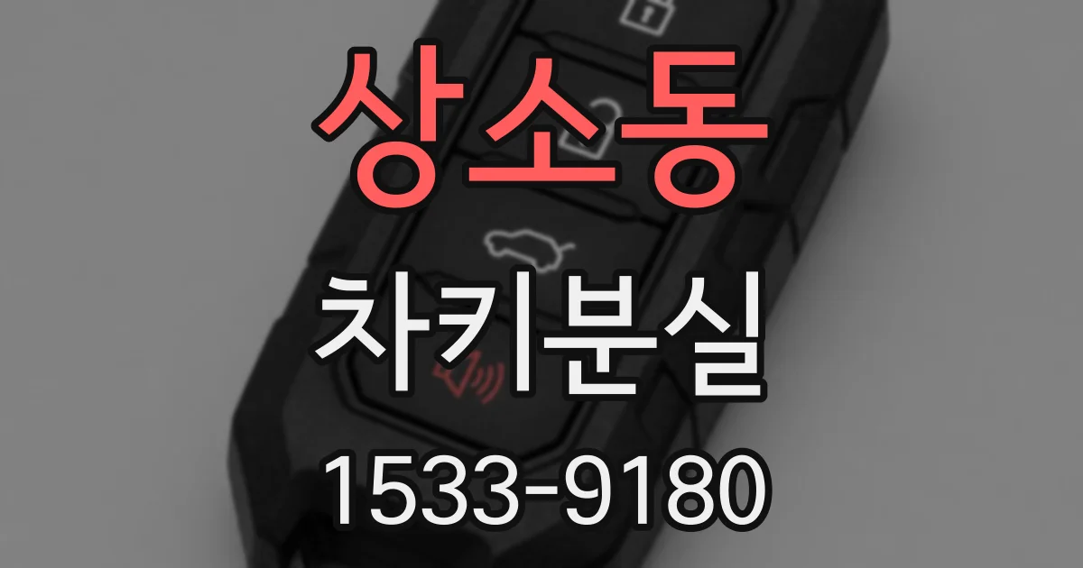 상소동 차키분실