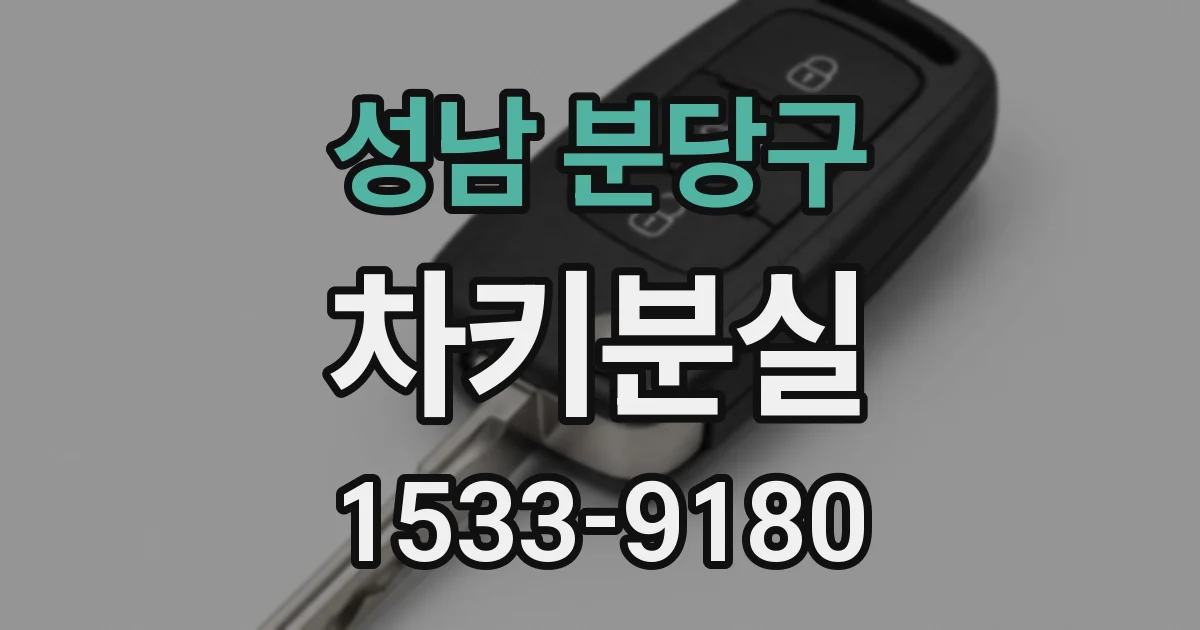 성남 분당구 차키분실
