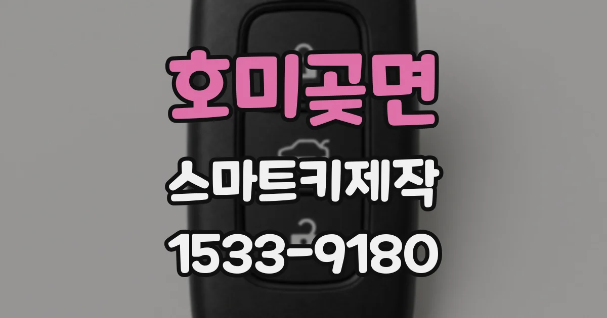 호미곶면 스마트키제작