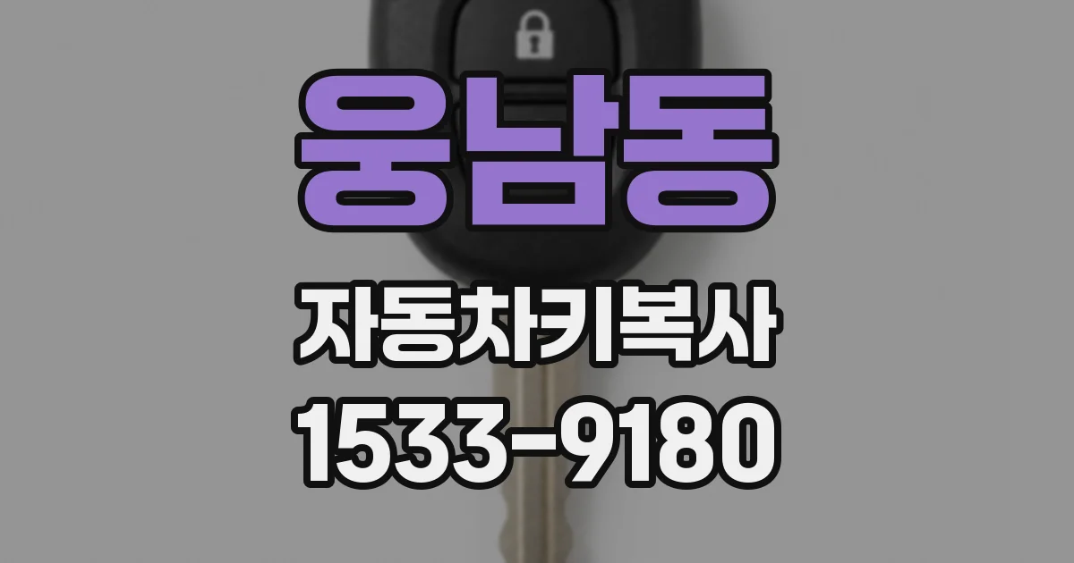 웅남동 자동차키복사