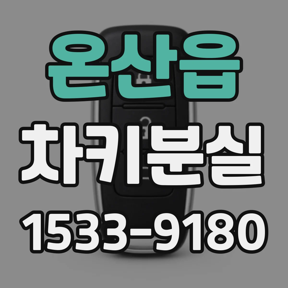 온산읍 차키분실