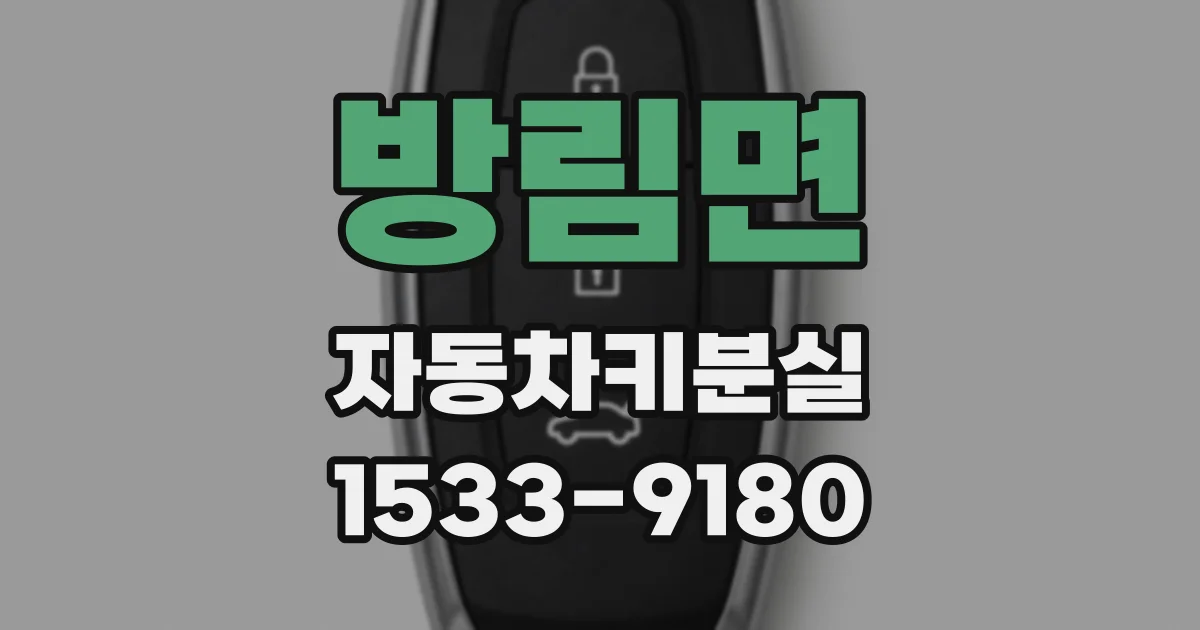방림면 자동차키분실