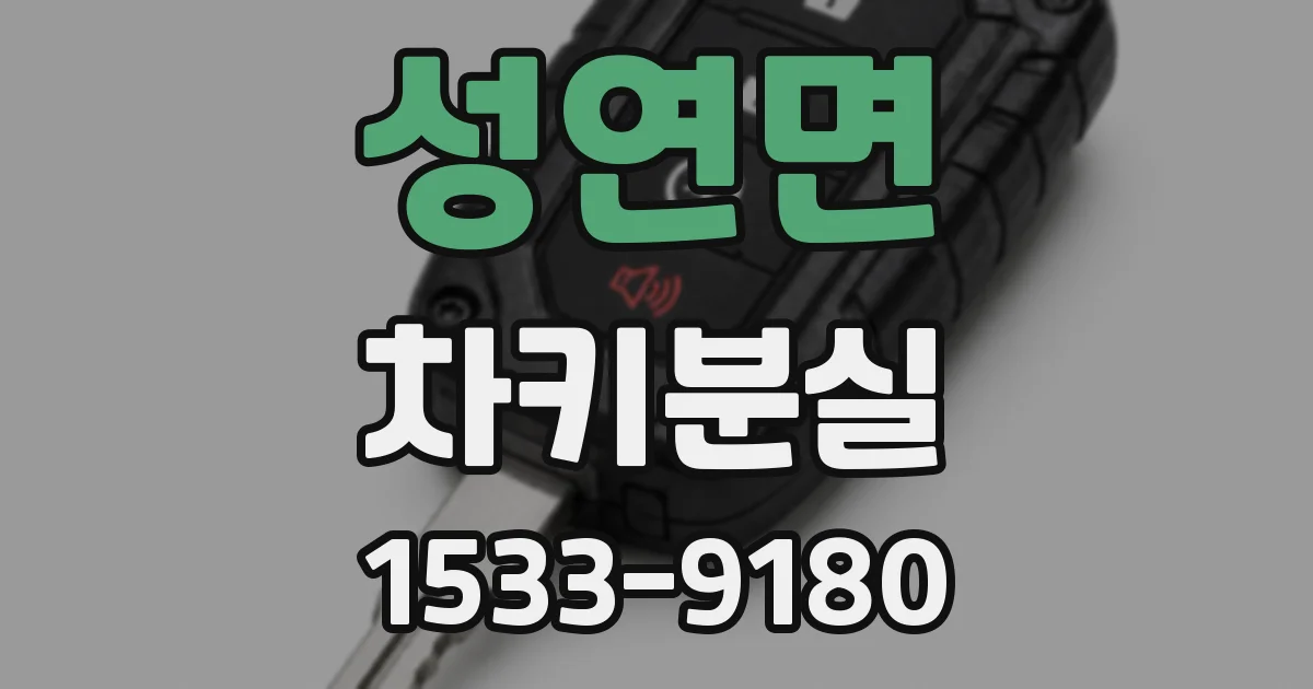 성연면 차키분실