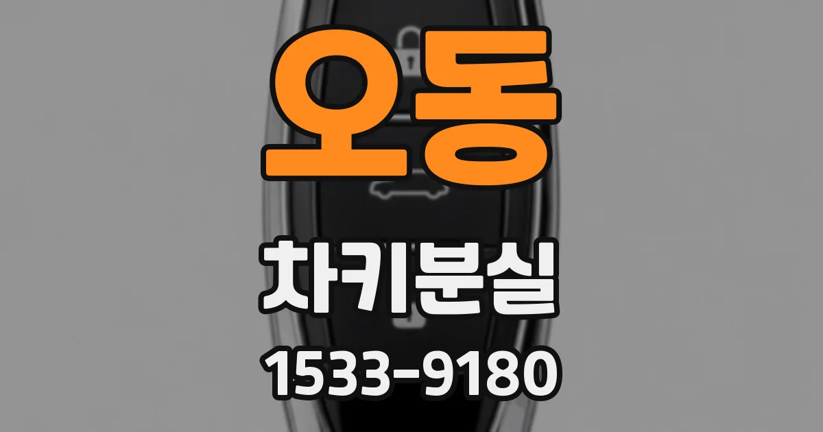 오동 차키분실