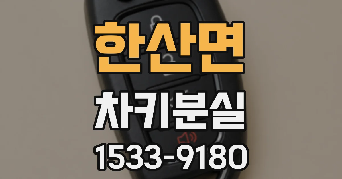 한산면 차키분실