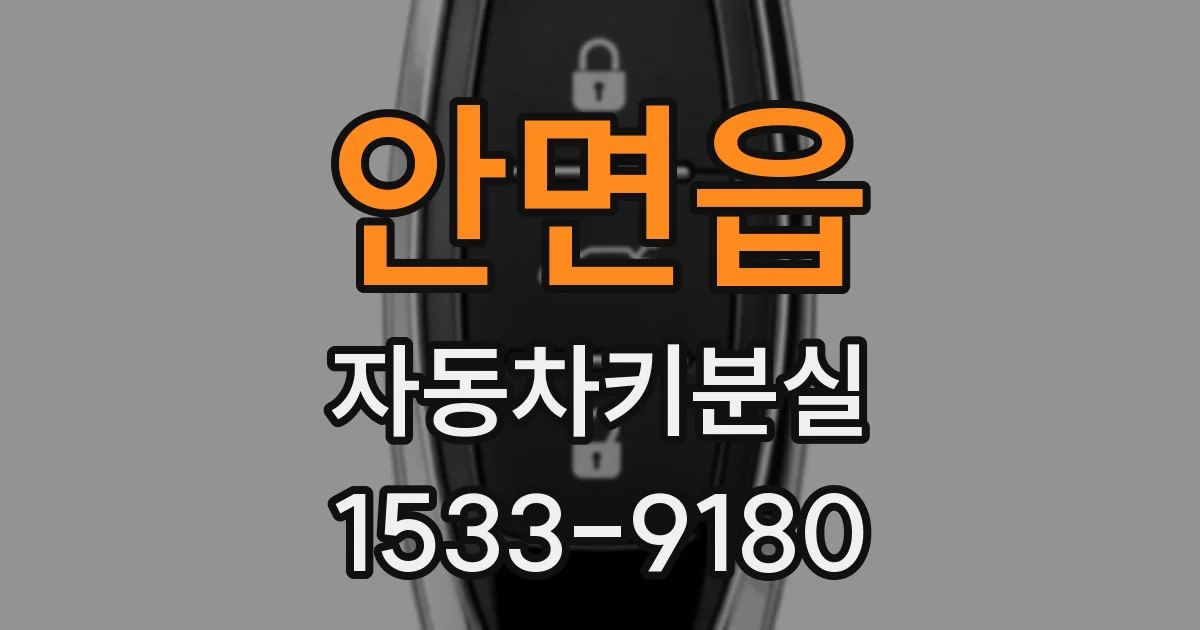 안면읍 자동차키분실