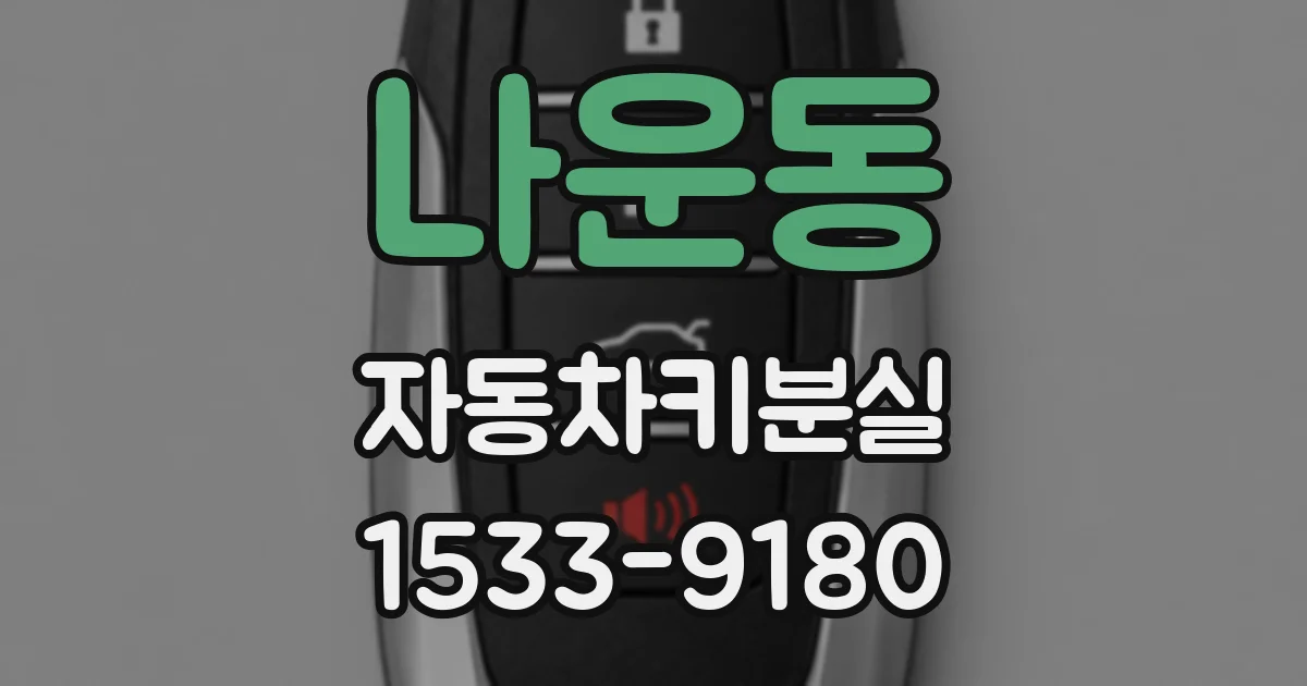 나운동 자동차키분실