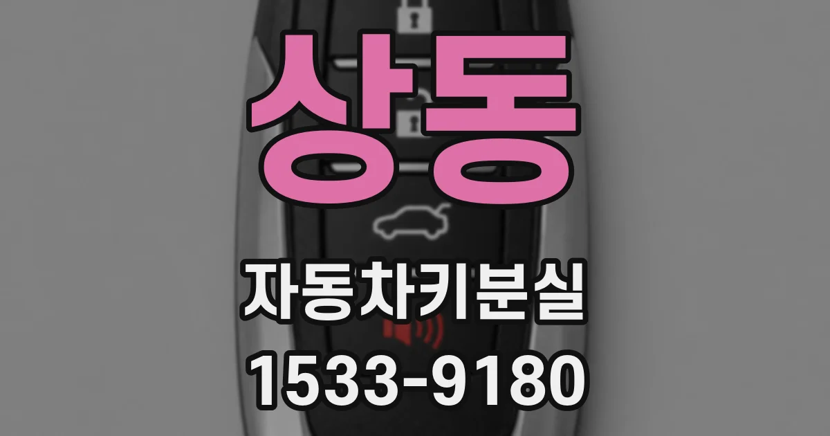상동 자동차키분실