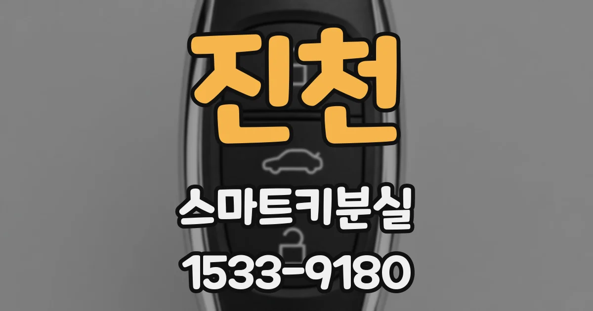 진천 스마트키분실