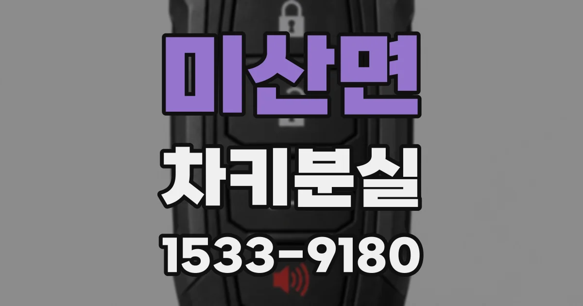 미산면 차키분실