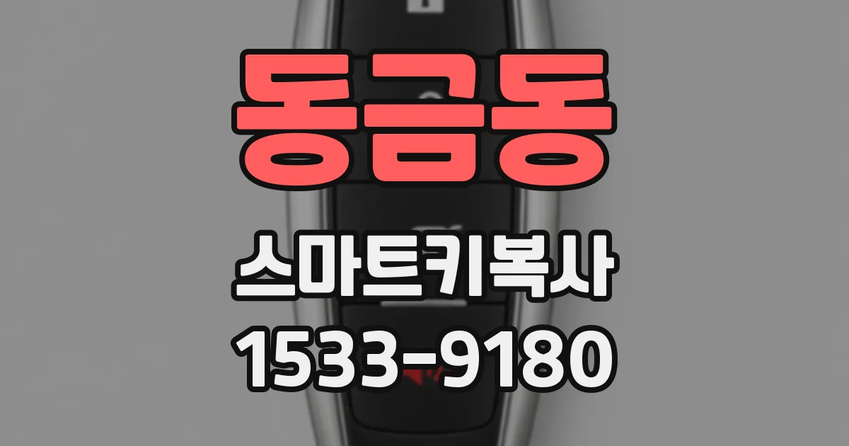 동금동 스마트키복사