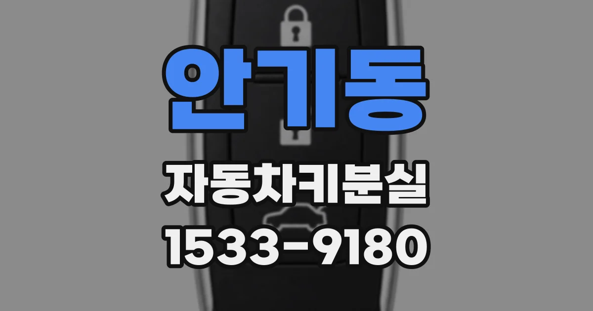 안기동 자동차키분실