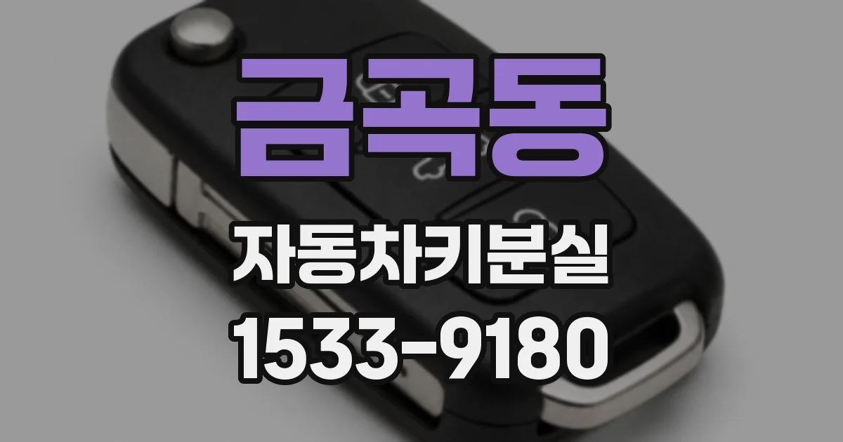 금곡동 자동차키분실