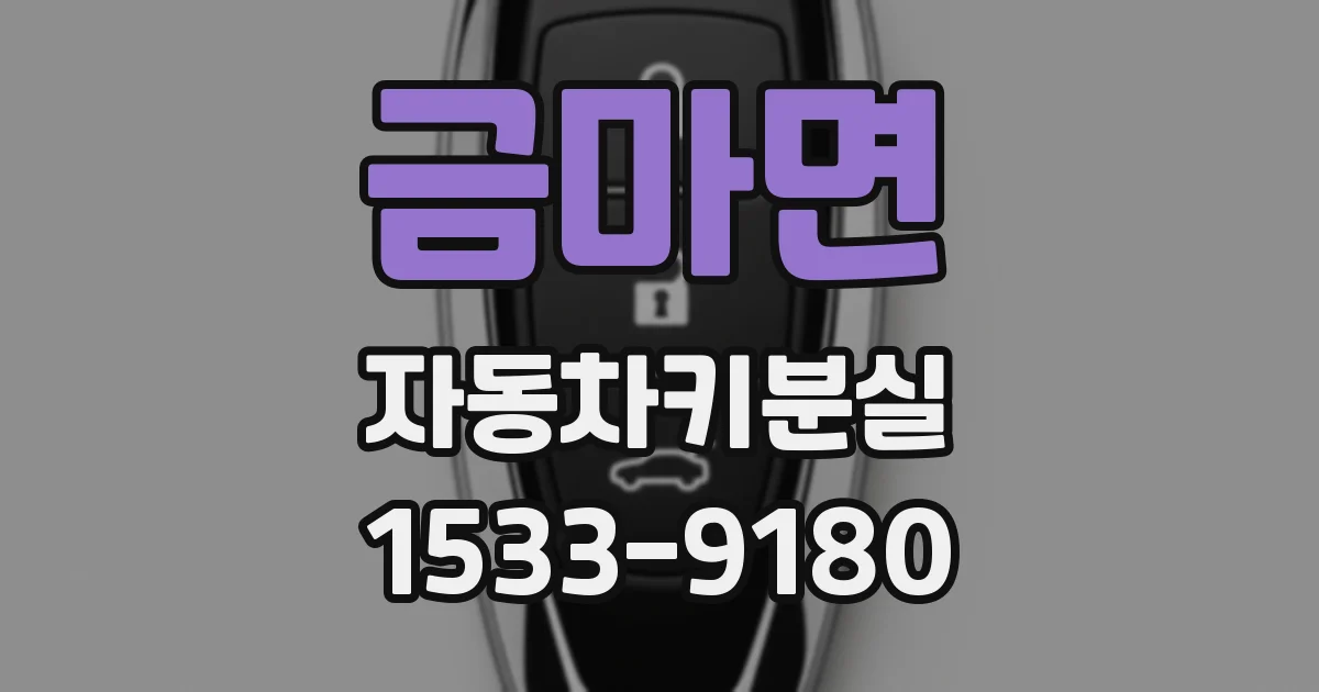 금마면 자동차키분실