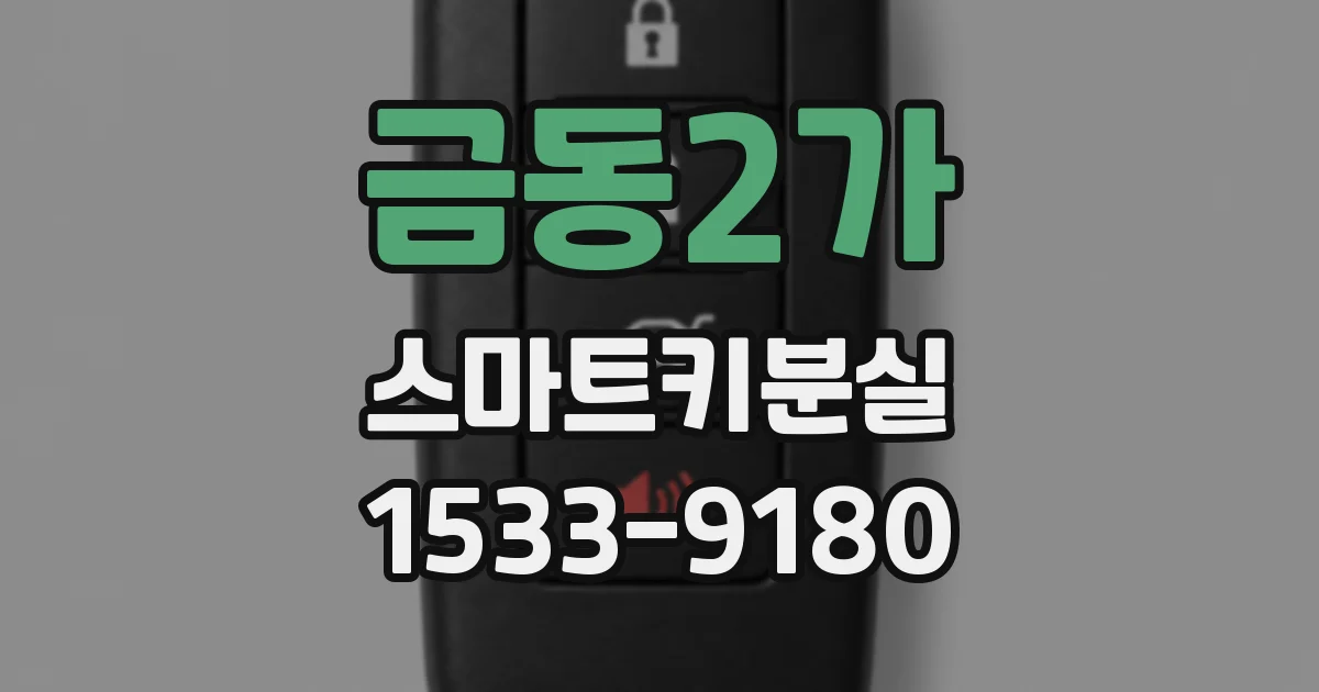 금동2가 스마트키분실