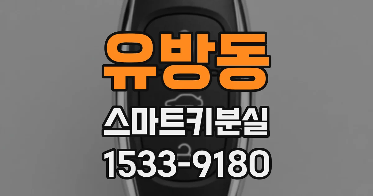 유방동 스마트키분실