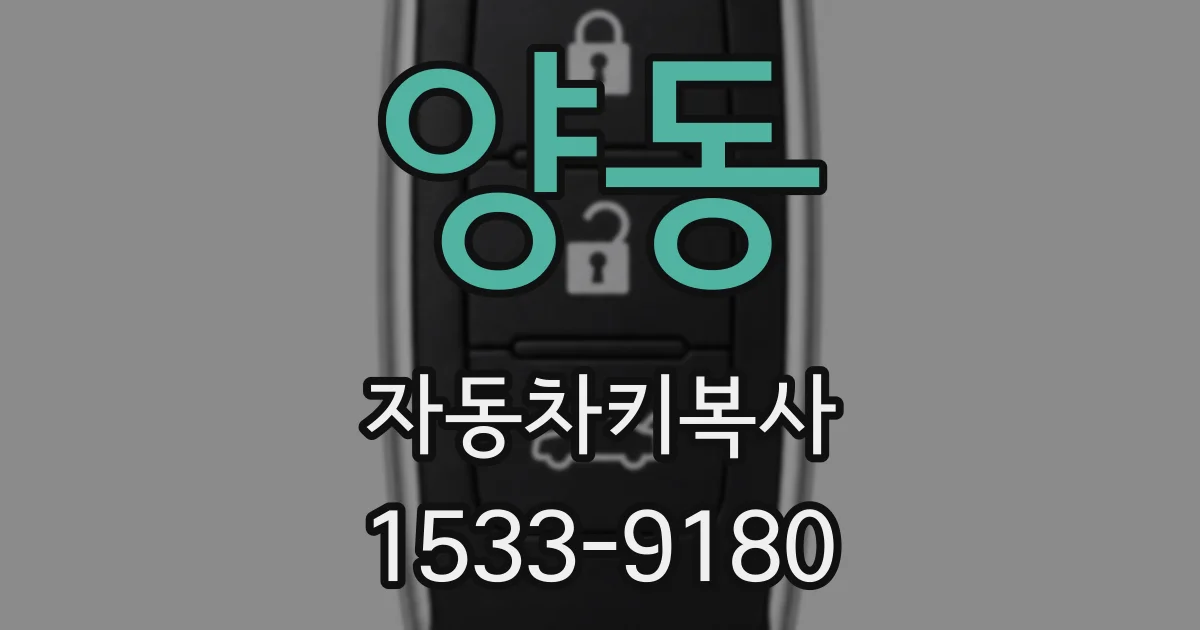 양동 자동차키복사