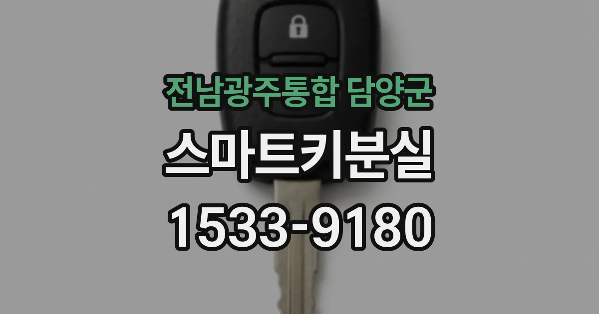 전남광주통합 담양군 스마트키분실
