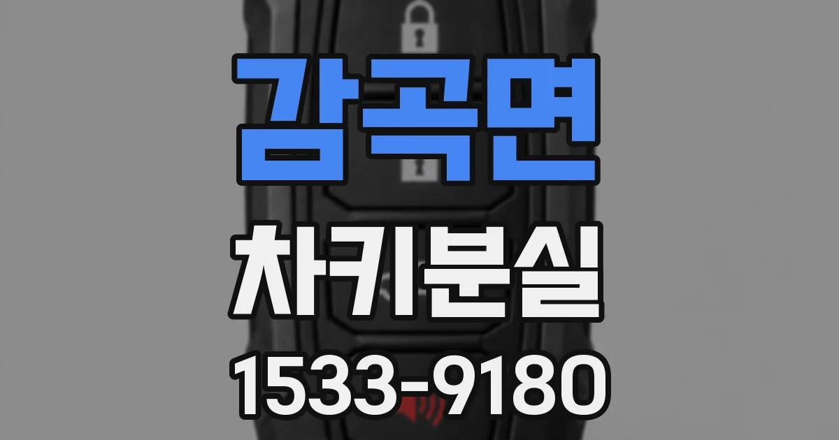 감곡면 차키분실