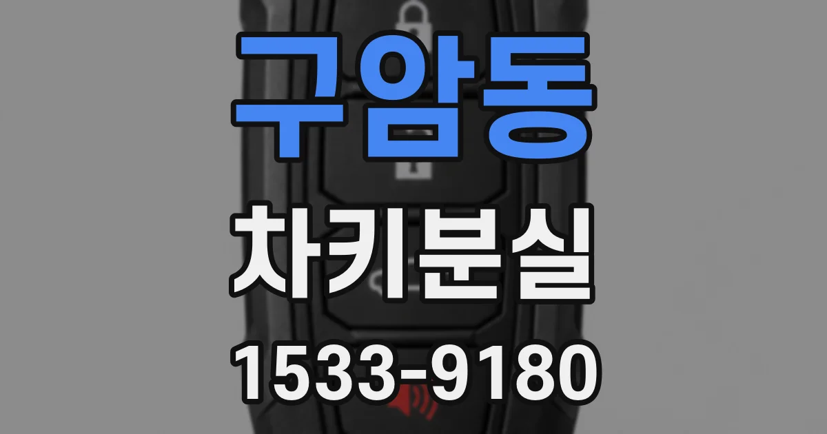 구암동 차키분실