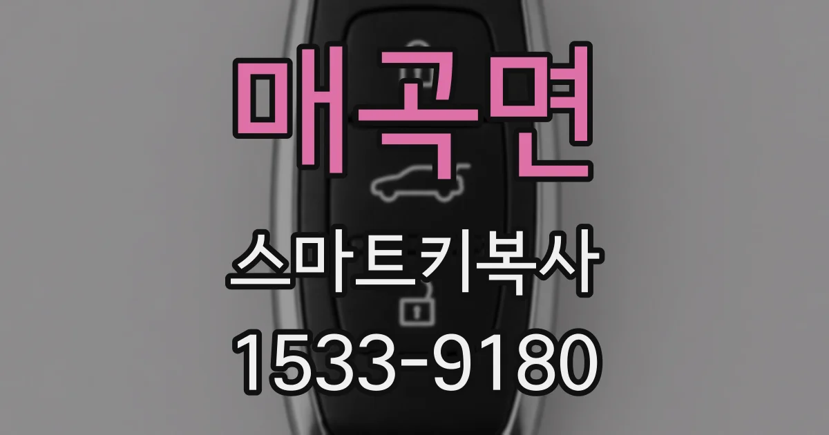 매곡면 스마트키복사
