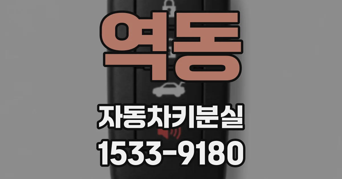 역동 자동차키분실