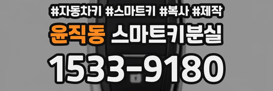 윤직동 스마트키분실