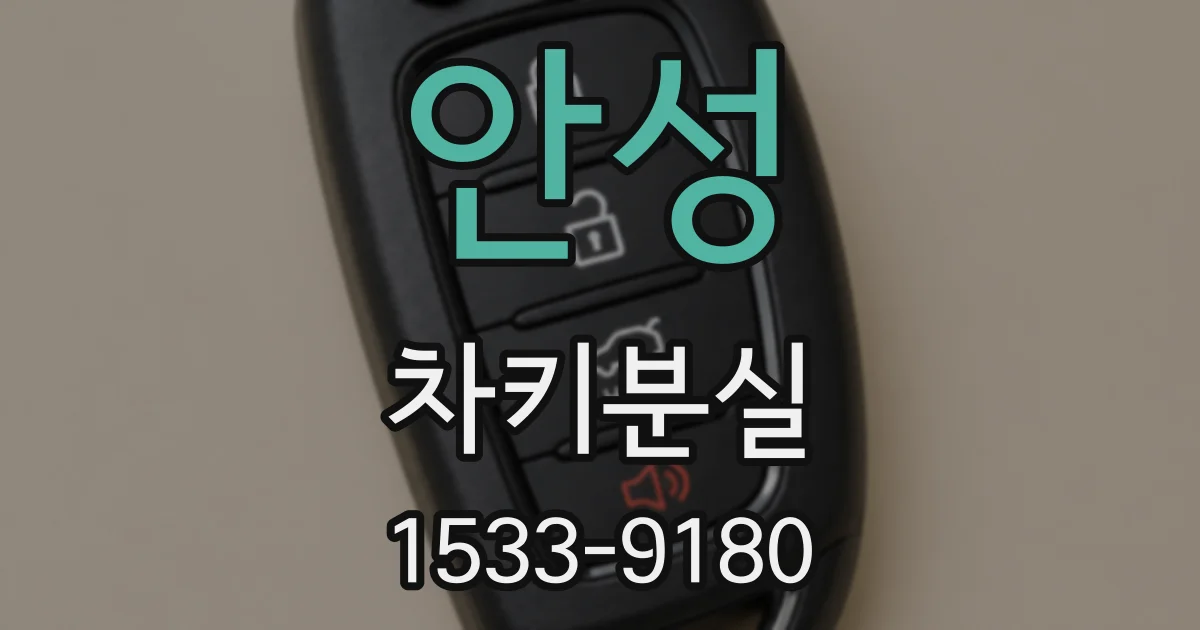 안성 차키분실