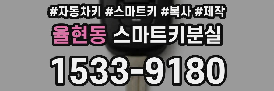 율현동 스마트키분실