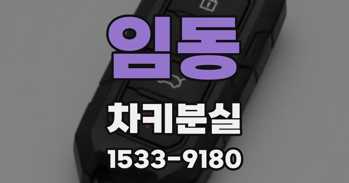 임동 차키분실