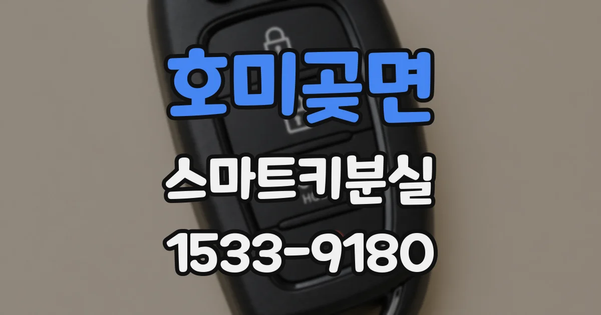 호미곶면 스마트키분실