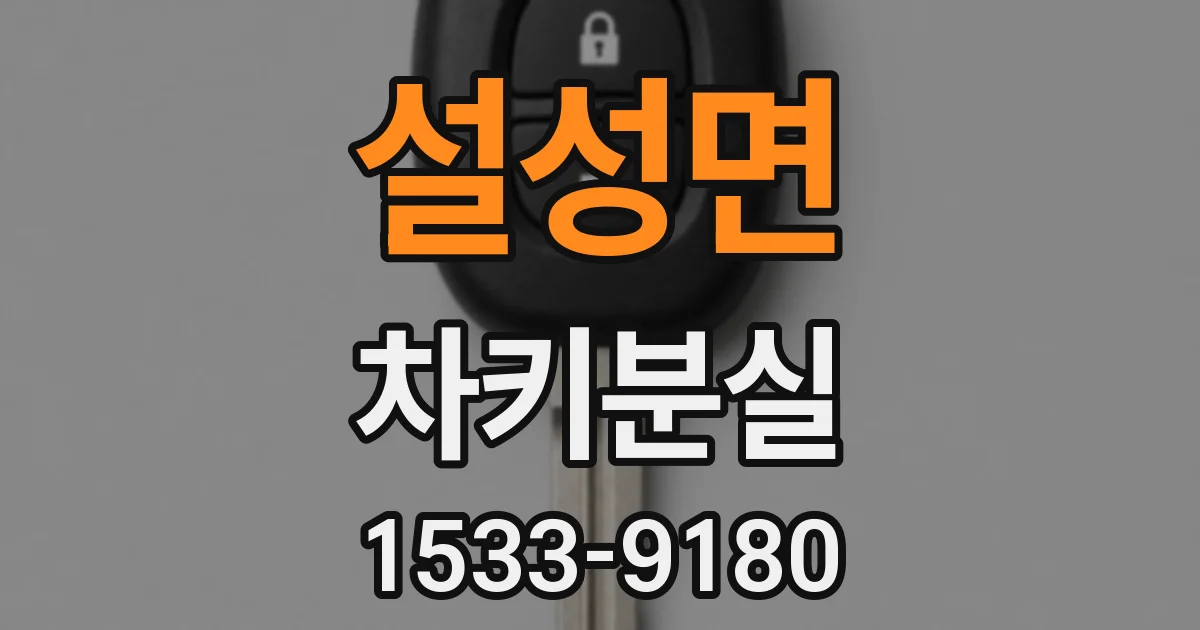 설성면 차키분실