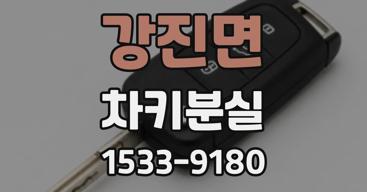 강진면 차키분실