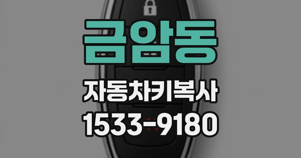 금암동 자동차키복사
