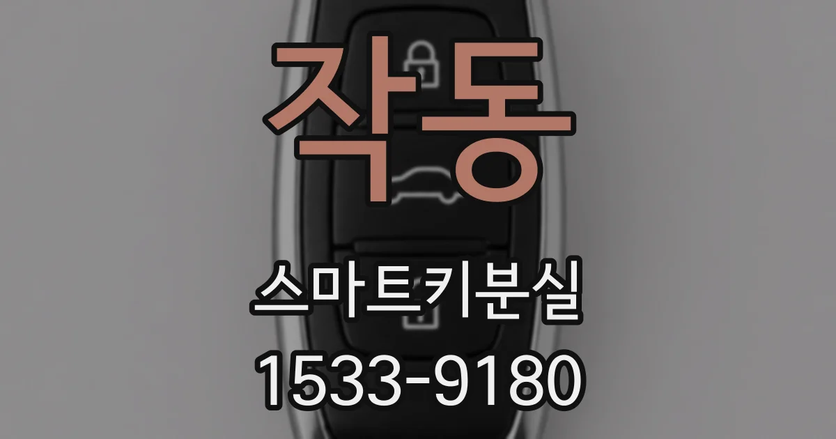 작동 스마트키분실