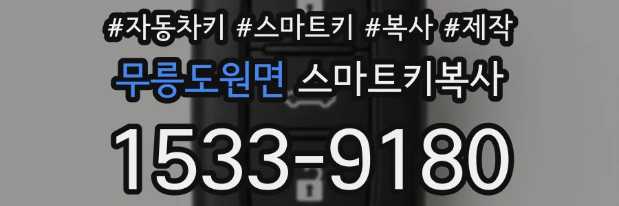 무릉도원면 스마트키복사