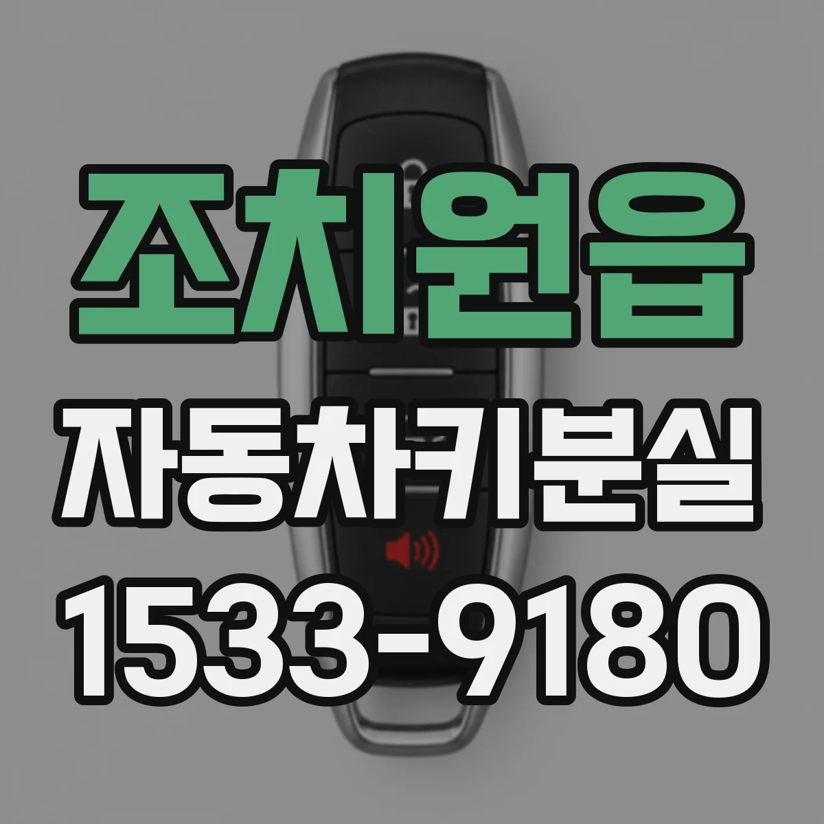 조치원읍 자동차키분실