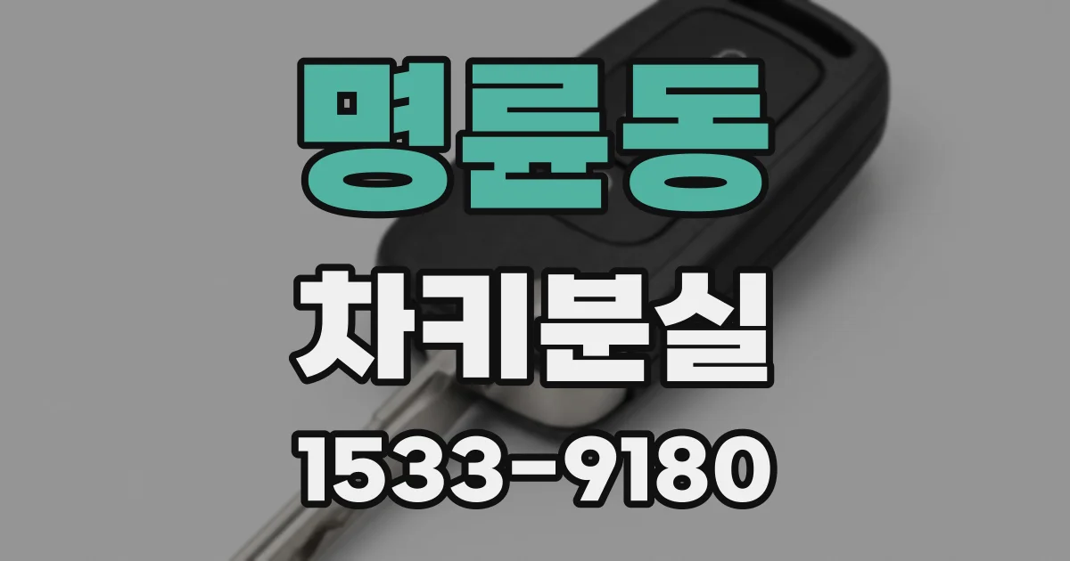 명륜동 차키분실