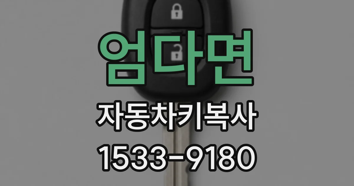 엄다면 자동차키복사
